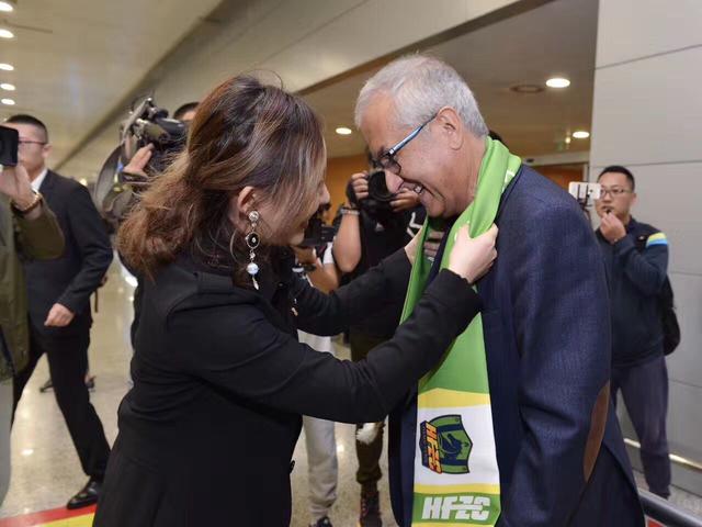 完美的妻子