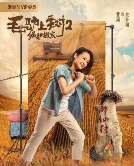 中国av片