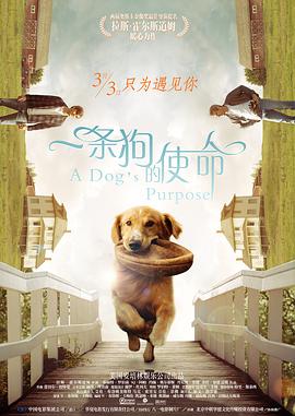 老湿影院在线播放