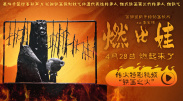 青青草综合在线