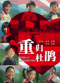 天天操穴