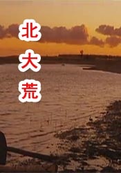 年轻妹妹3