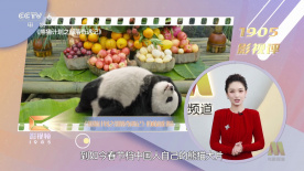 久久久精品一级二级三级